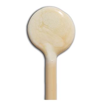 Ivory 264 $52/kg