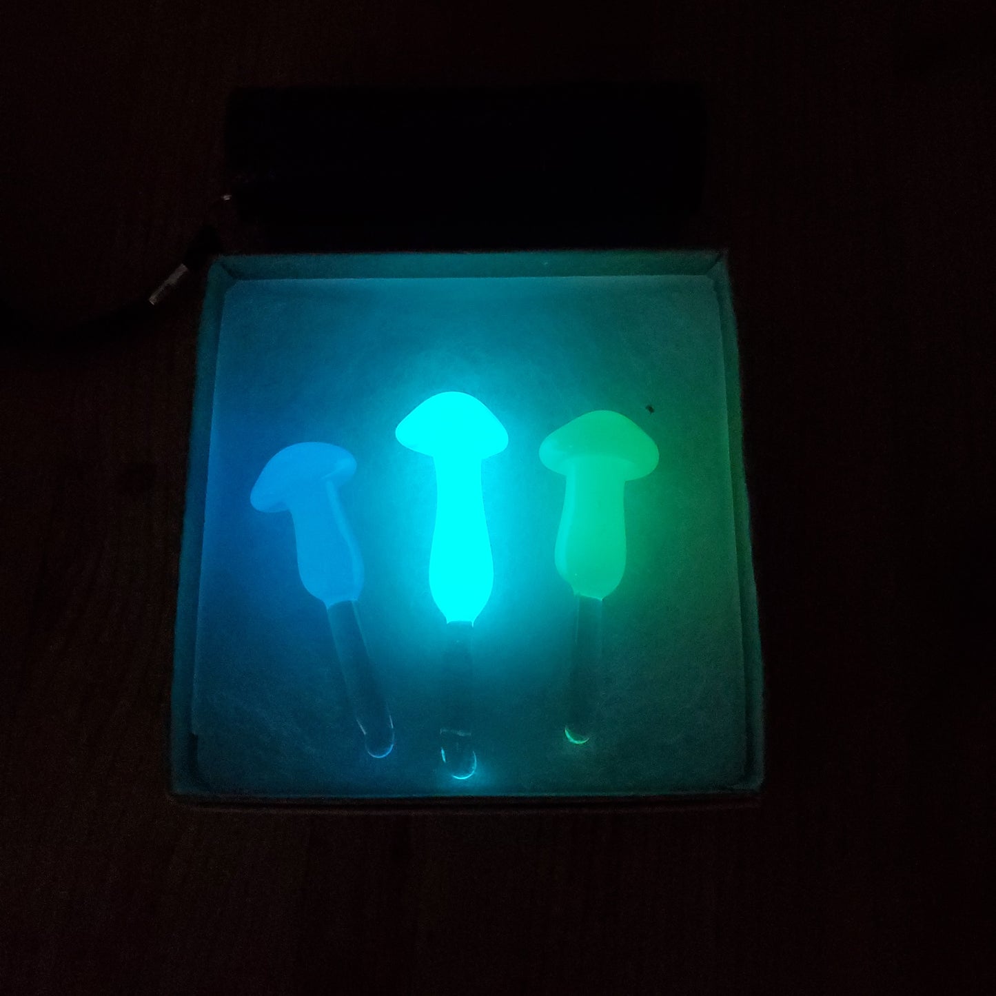 Triple Glow in the Dark Mushroom Pack